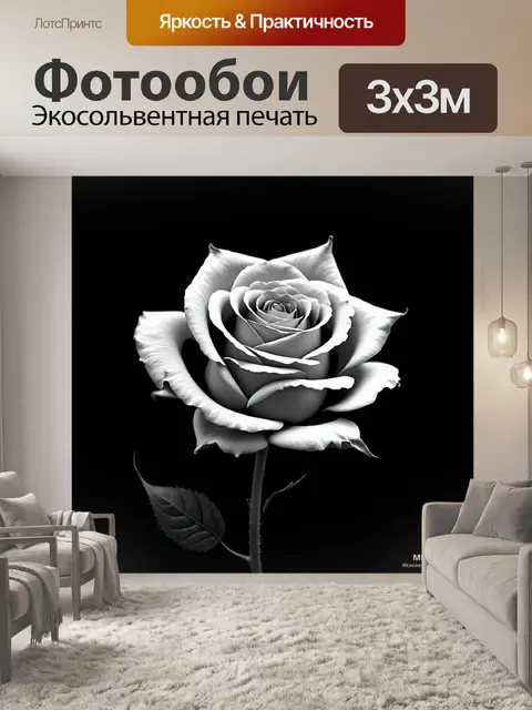 Фотообои розы в стиле абстракции, монохромная палитра, тонкие линии и текстуры, акцент на свете и тени