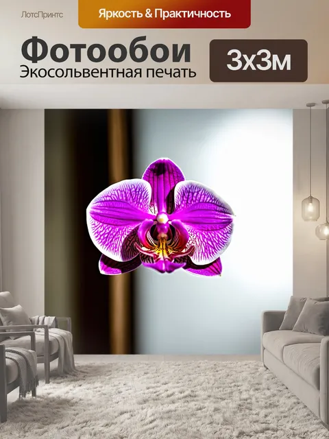 Фотообои орхидея, наклоняющаяся к источнику света