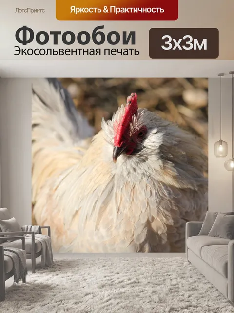 Фотообои D'Uccle Петух