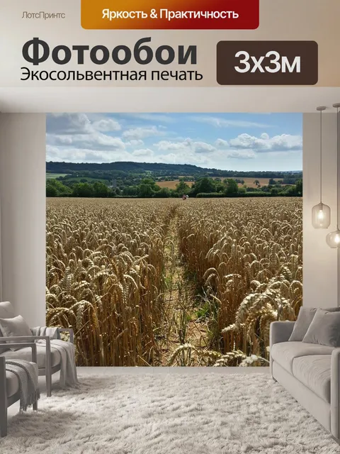 Фотообои Пшеница
