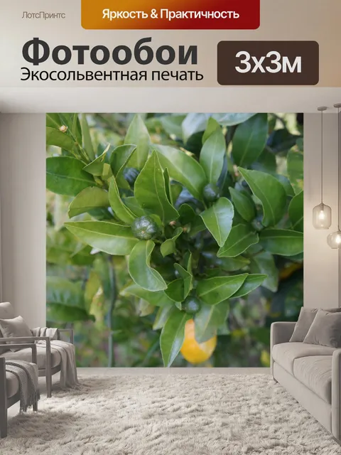 Фотообои Дерево