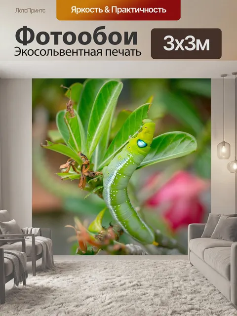 Фотообои Черви