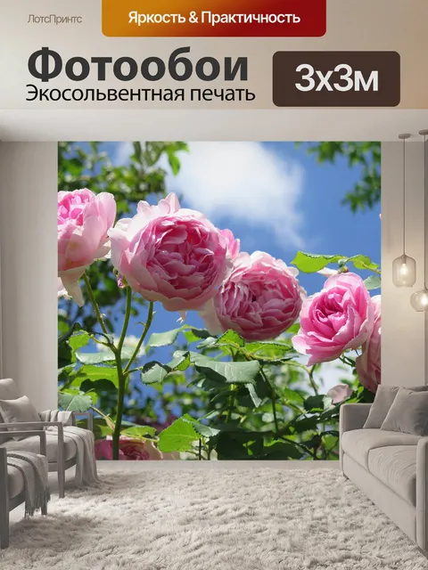 Фотообои Небеса