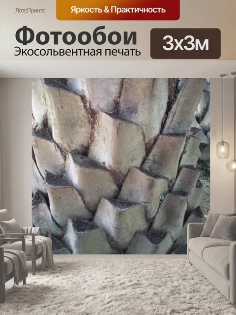 Фотообои пальма стволовых
