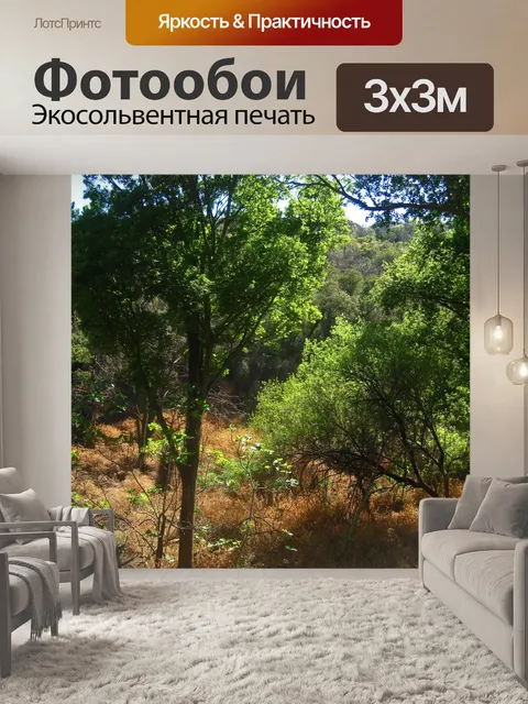 Фотообои сухая увядшая трава под высокими деревья