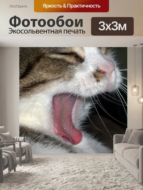 Фотообои Кошка