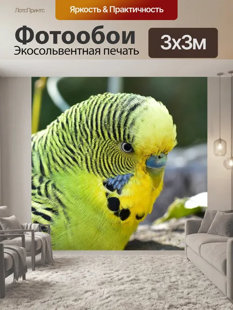 Фотообои Птица