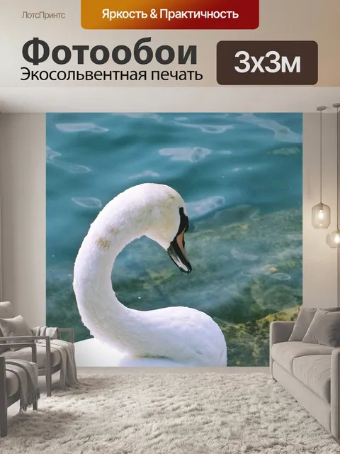 Фотообои Лебедь