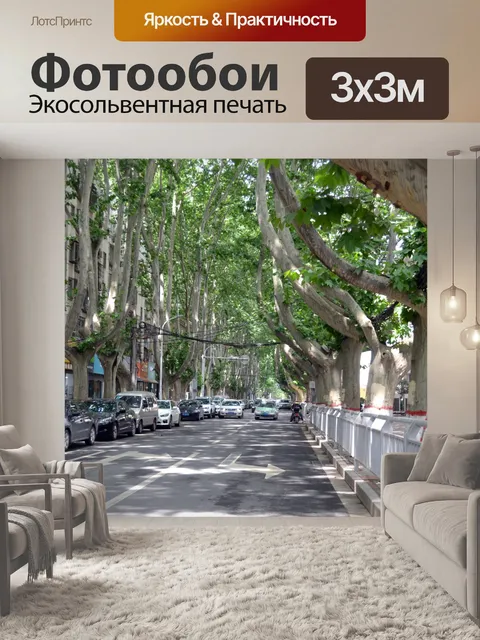 Фотообои тенистые деревья