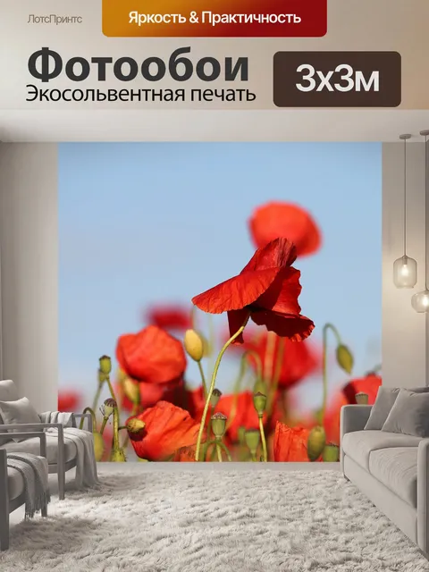 Фотообои Красные маки на ветру
