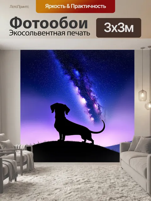 Фотообои такса, которая смотрит на звёздное небо с холма, где видны контуры её silhouette на фоне млечного пути