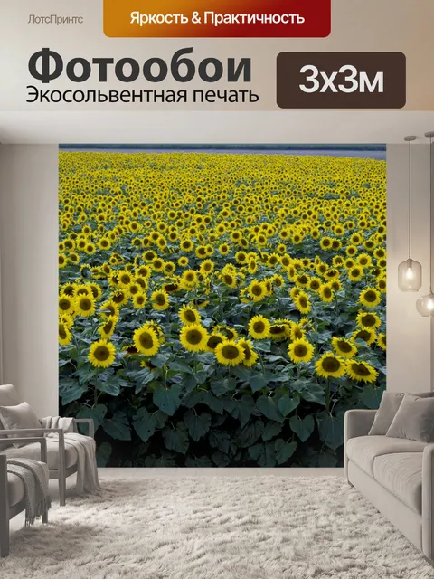 Фотообои Подсолнухи