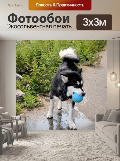 Фотообои Игры?