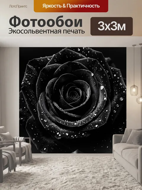 Фотообои Черная роза с каплями росы
