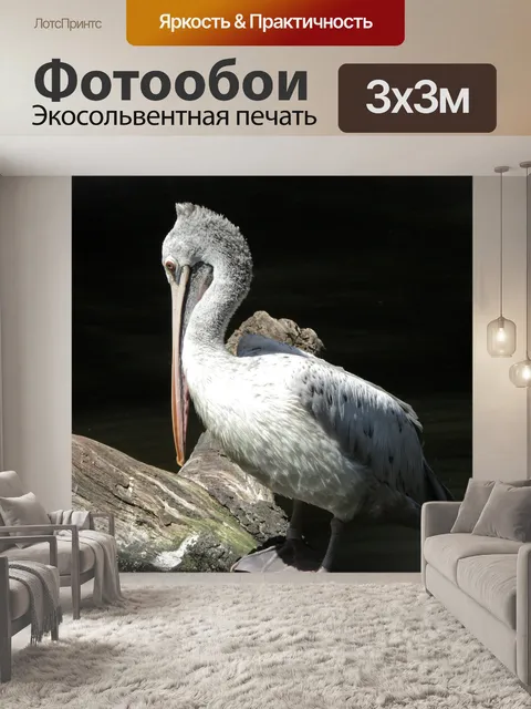 Фотообои Пеликан