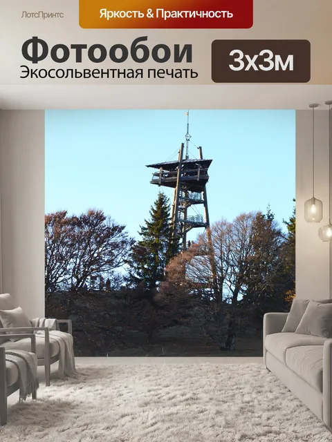 Фотообои Черный лес