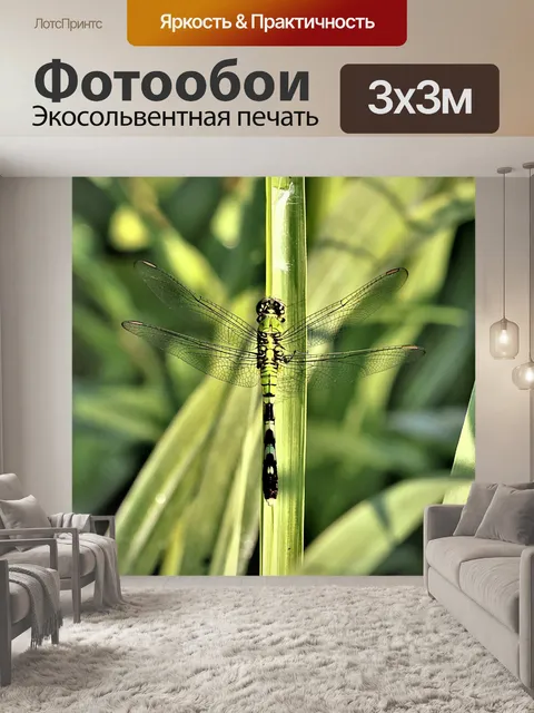 Фотообои Восточный Пондовик Стрекоза 2