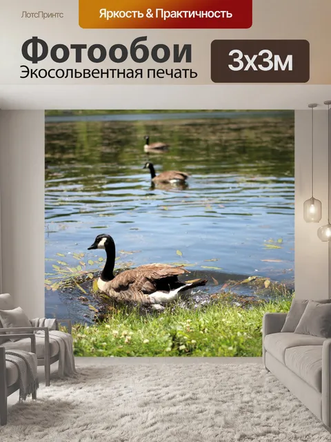 Фотообои Гусь запуском в воде