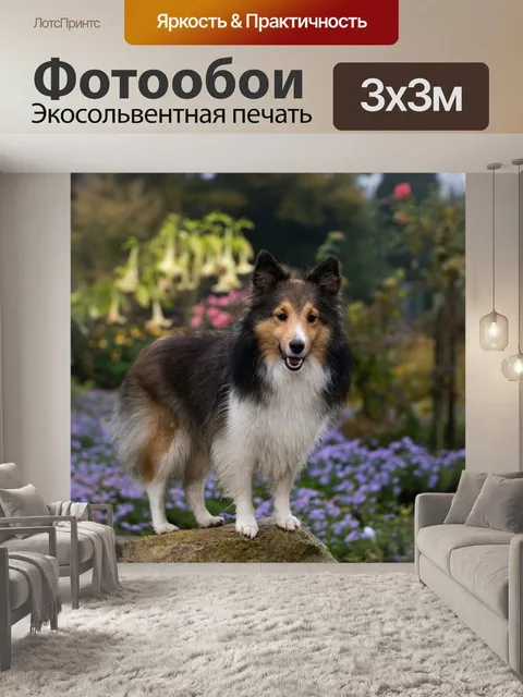 Фотообои Собака