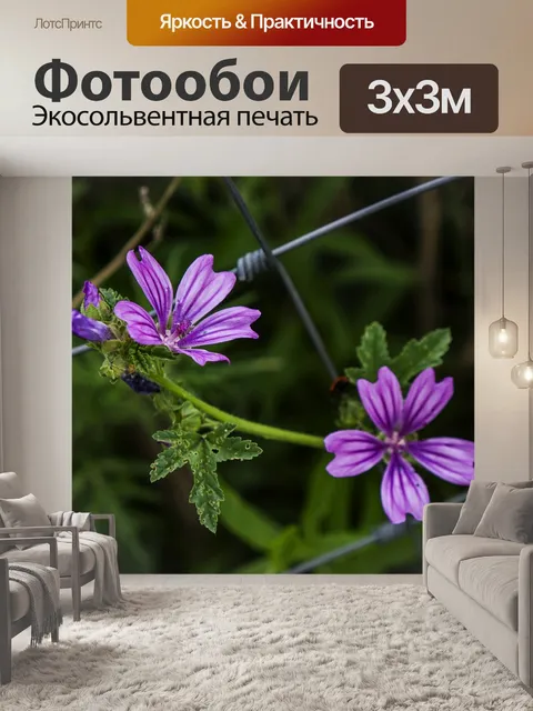 Фотообои Два цветка
