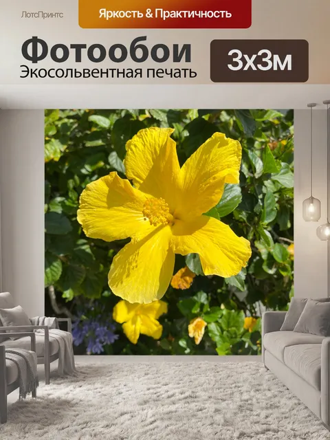 Фотообои Желтый гибискус