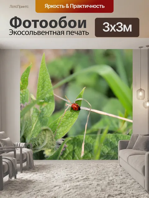 Фотообои Божья коровка