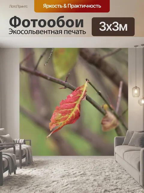 Фотообои Красный лист