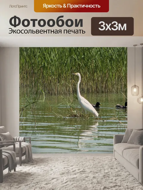 Фотообои Большой