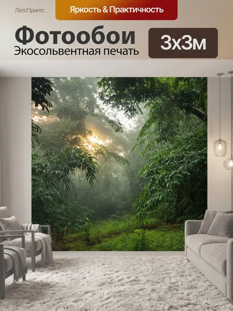 Фотообои джунгли на рассвете, окруженные туманом, где свет пробивается сквозь листву деревьев