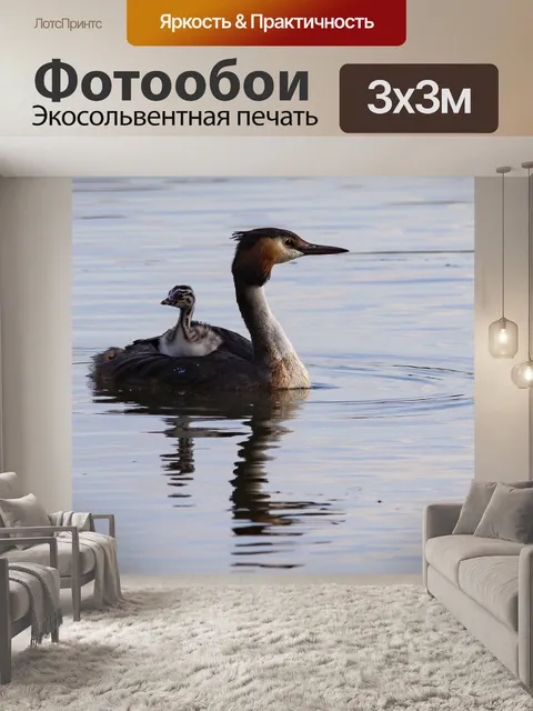 Фотообои Большая поганка