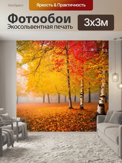 Фотообои береза в осеннем лесу