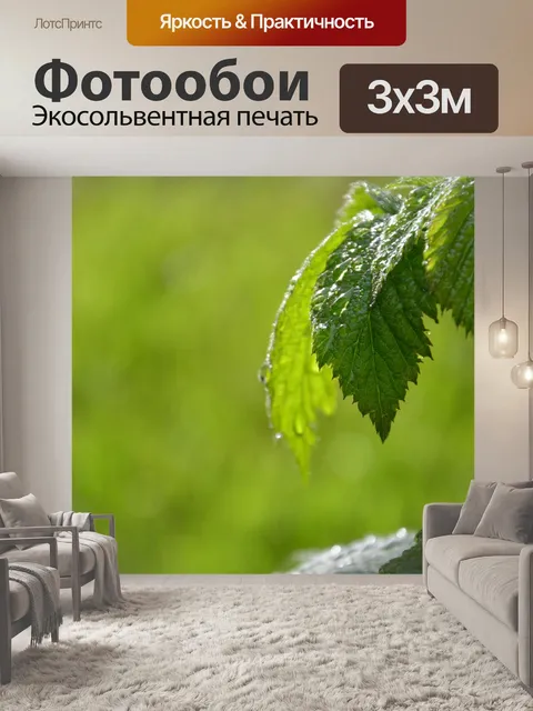 Фотообои Зеленый