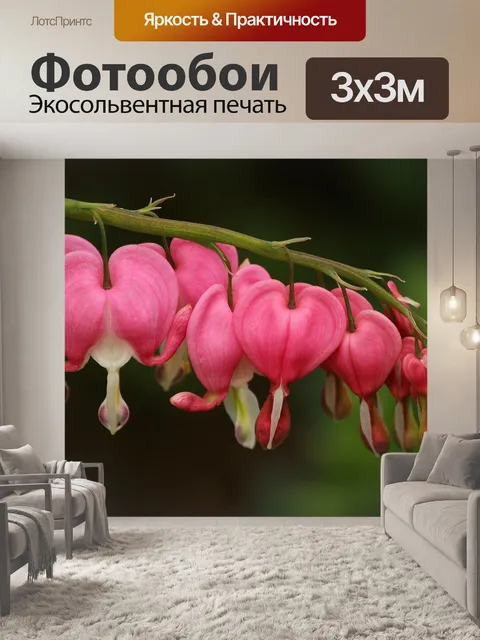 Фотообои Кровотечение сердца