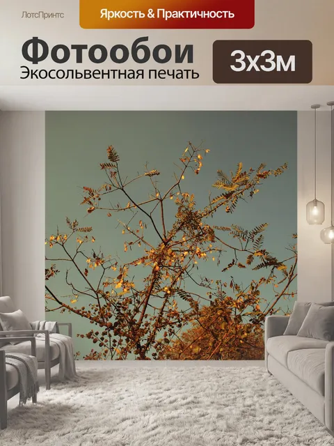 Фотообои отбеленные семена Tipuana против неба