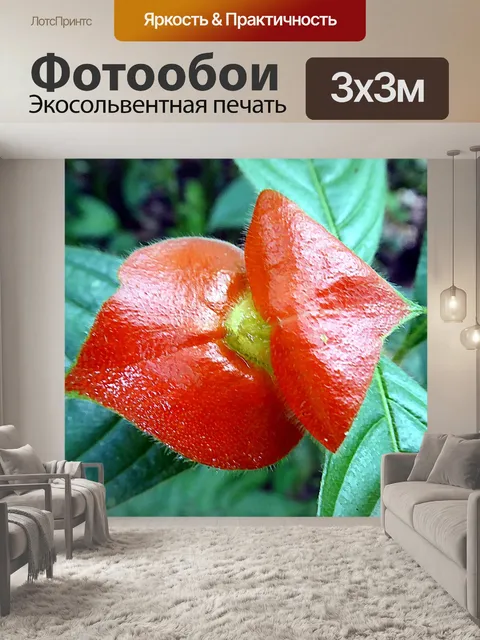 Фотообои Цветок