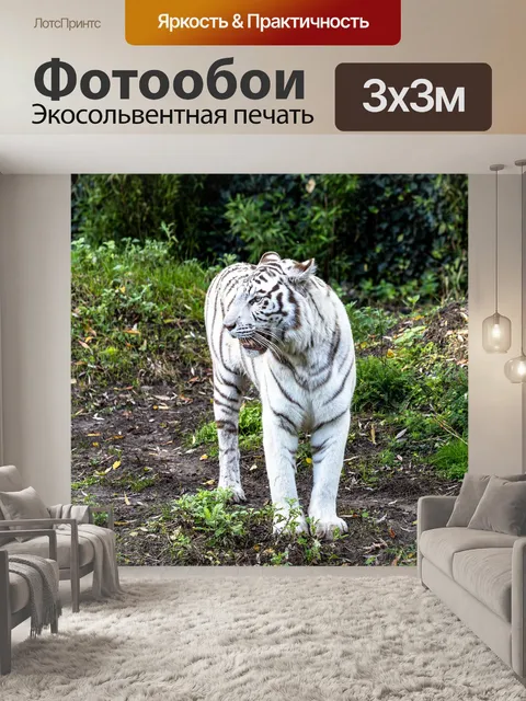 Фотообои Белый тигр