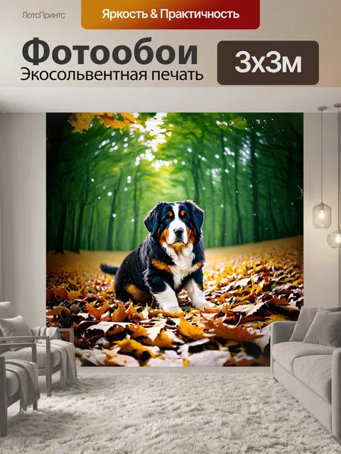 Фотообои изумрудный лес, пышный и густой, окружает бернского зенненхунда с полосатым окрасом, играющего среди…