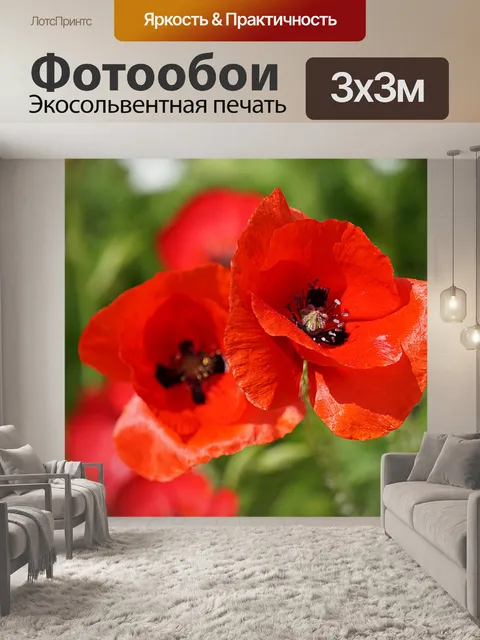 Фотообои маки