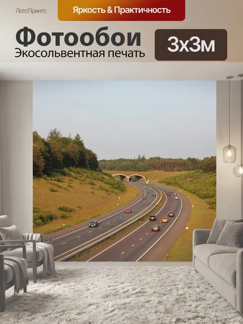 Фотообои Дикая природа Прохождение над шоссе