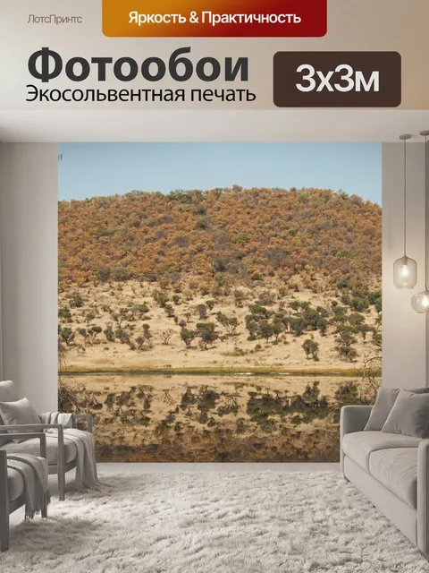 Фотообои отражение деревьев в озере кратер