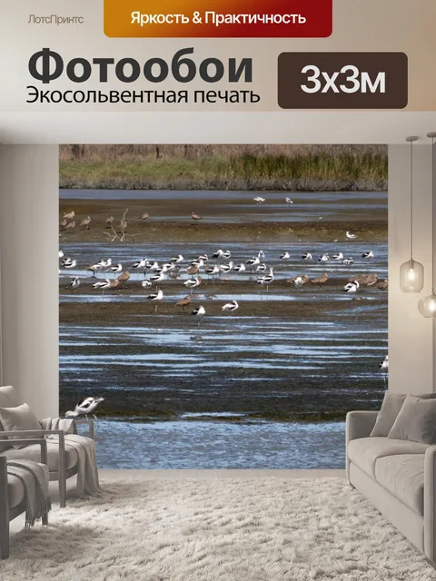 Фотообои Птицы на водно-болотных угодьях