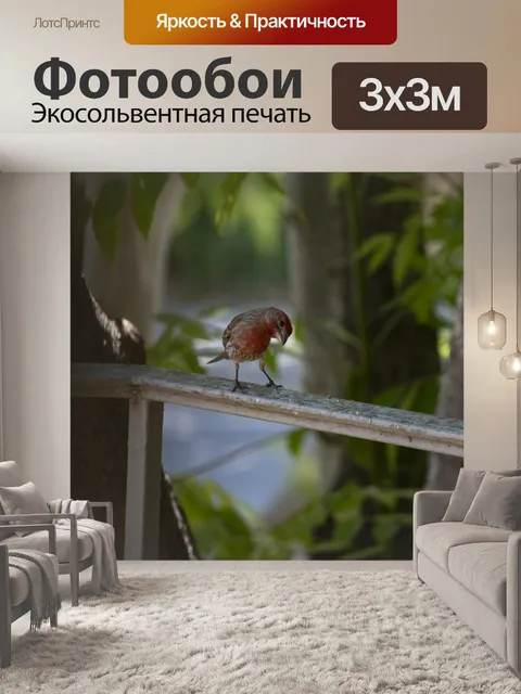 Фотообои Красная птица Птичка
