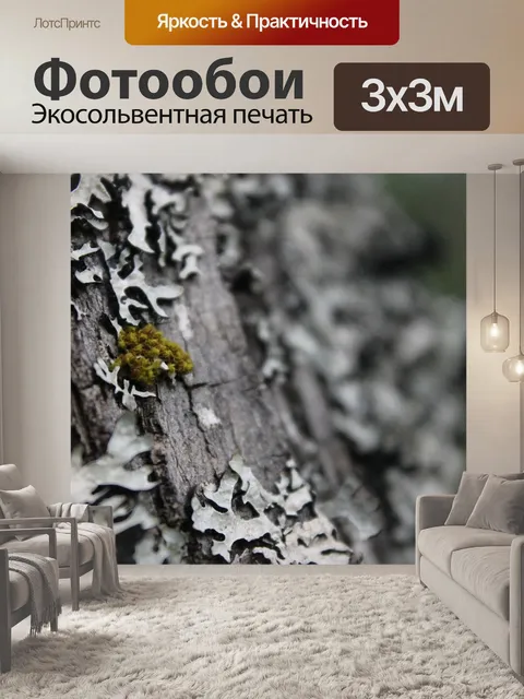 Фотообои Дерево