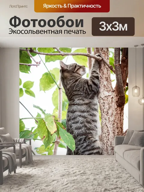 Фотообои Кошка