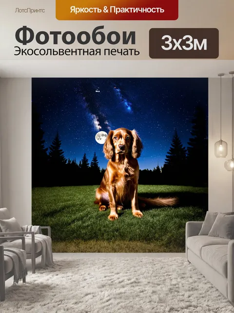 Фотообои кокер-спаниель сидит на лужайке, полное небо звезд окружает его