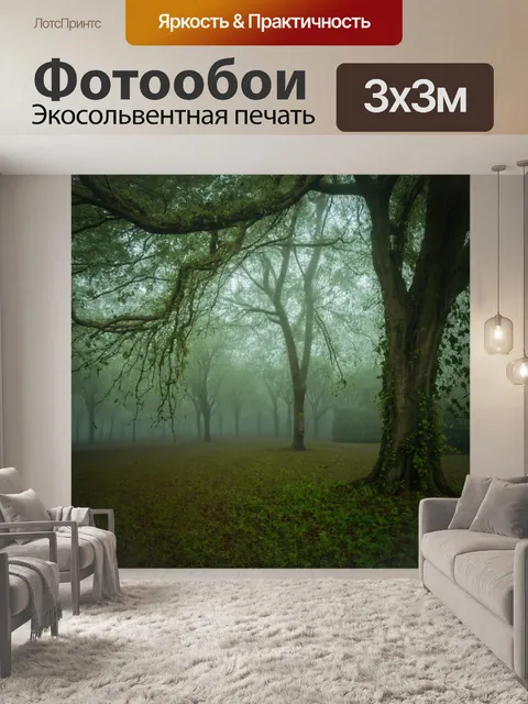 Фотообои туман в стиле барокко