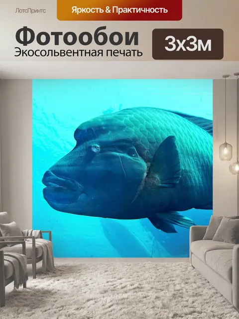 Фотообои Египет