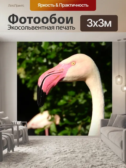 Фотообои Фламинго розовый