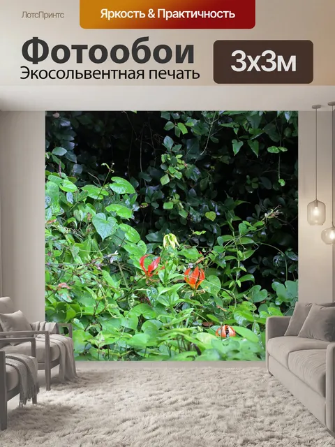 Фотообои красные цветы лилии пламени в лесу