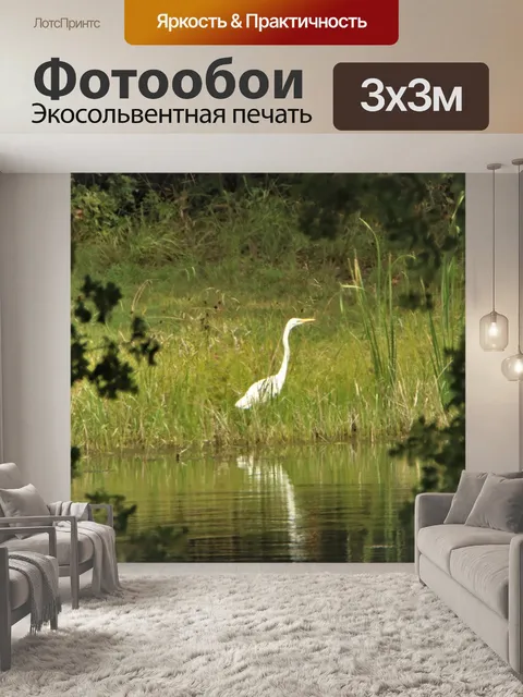 Фотообои Большая белая цапля сквозь деревья